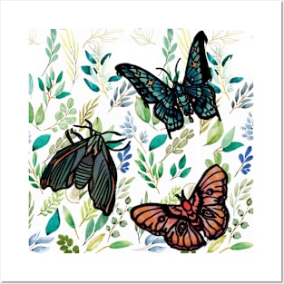 Two Butterflies and A Moth Posters and Art